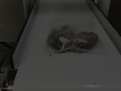 Detettore di metalli industriali a schermo tattile Prodotti lattiero-caseari per la salute Equipaggiamento per il rilevamento dei metalli