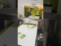 Autotrasporto Detettore di metalli Sicurezza alimentare per la linea di confezionamento, 300 * 150mm