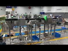 Equipaggiamento per il rilevamento dei metalli per trasportatori alimentari con allarme sonoro e luminoso