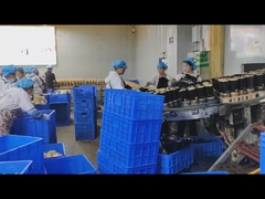 Detettore di metallo alimentare in inossidabile 304 con elaborazione del segnale digitale e OEM