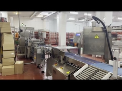 Apparecchiature di controllo a raggi X alimentari per controllo e produzione industriale