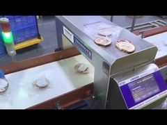 Convogliatore automatico Industrial Food Grade Metal Detector Equipaggiamento di sicurezza Macchina OEM personalizzata