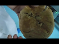 Convogliatore automatico Detettore di metalli industriali per macchine per la sicurezza alimentare OEM fabbricante personalizzato