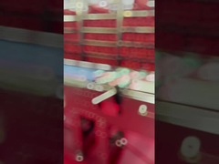 Macchine per l'ispezione a raggi X di prodotti alimentari industriali