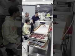 Metal detector del commestibile