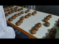 Rilevatore di metalli con risoluzione 0,01 g per l'industria alimentare: protegge i tuoi prodotti dalla contaminazione da metalli