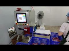 Macchina di ispezione a raggi X per alimenti industriali per il controllo qualità