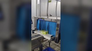 Sistema di ispezione a raggi X per alimenti industriali SHANAN