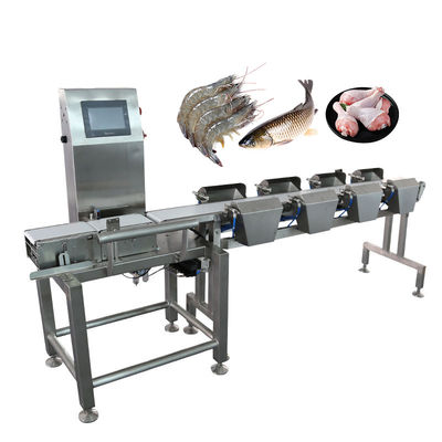 Apparecchiature di selezione di precisione Classificazione automatica delle dimensioni e del peso per frutta, verdura, materiali industriali farmaceutici