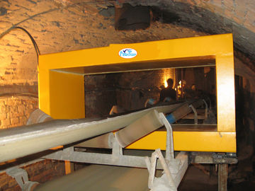 metal detector multi- in di legno, ceppo, carbone, cemento del commestibile del dispositivo di scarto 90W